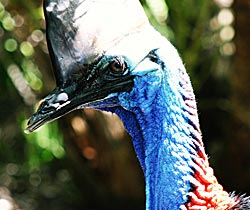 Alma Park Zoo - Sydney Resort 0