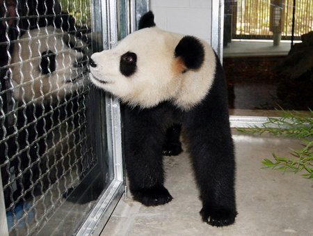 Adelaide Zoo - Accommodation Sydney 3