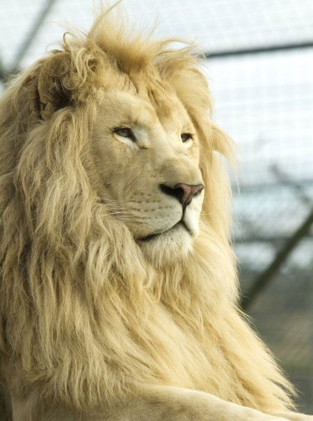 Zoo Doo Wildlife Park - Sydney 4u 3