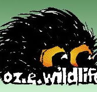 OZe Wildlife - Accommodation Sydney