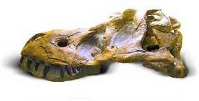 Australia Walkabout Wildlife Park - Accommodation Sydney 2