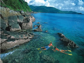 Llewellyn Dive Site - Accommodation Sydney 0