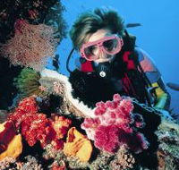 Gold Coast Seaway Dive Site - Accommodation Sydney