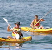 Manly Kayaks - Accommodation Sydney