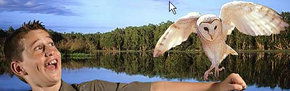 Territory Wildlife Park - Accommodation Sydney 2