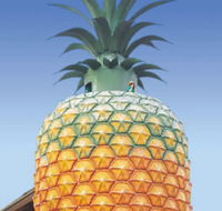 The Big Pineapple - Accommodation Sydney