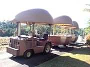 The Big Pineapple - Accommodation Sydney 2