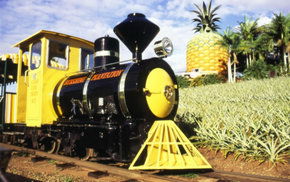 The Big Pineapple - Accommodation Sydney 3