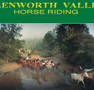 Glenworth Valley Horseriding - Sydney 4u