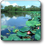 Kakadu National Park - Sydney 4u 3
