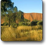 Uluru - Kata Tjuta National Park - Sydney 4u