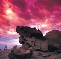 Kangaroo Island Adventure Tour 2 day/1 night - Sydney 4u