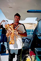 Temptation Sailing - Accommodation Sydney 3