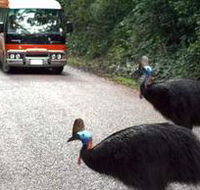 Kookaburra Tours - Accommodation Sydney