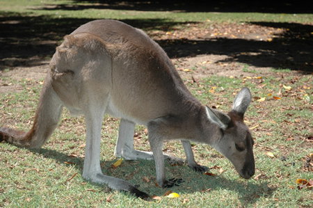 Bunbury Wildlife Park - Accommodation Sydney 1