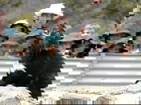 Tasmania Zoo - Sydney 4u 0