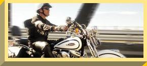 Easy Rider - Accommodation Sydney 2