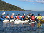 Sydney Harbour Kayaks - Sydney 4u 2