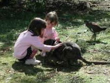 Urimbirra Wildlife Park - Sydney 4u 1