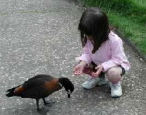 Urimbirra Wildlife Park - Sydney 4u 3