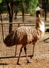 Waterways Wildlife Park - Sydney Resort 2