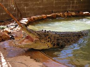 Wyndham Zoological Gardens And Crocodile Park - Sydney Resort 0
