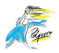 Polperro Dolphin Swims - Accommodation Sydney 0