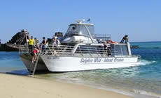 Dolphin Wild - Accommodation Sydney 2