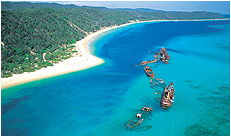 Dolphin Wild - Accommodation Sydney 3