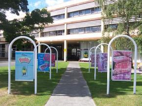 Cadbury Chocolate Factory Tour - Sydney Resort 2