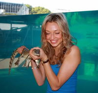 Crocosaurus Cove - Accommodation Sydney