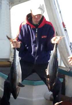 Downunder Charters - Sydney Resort 2