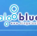 Ningaloo Blue Dive - Sydney 4u