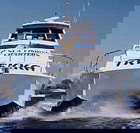 Sunshine Coast Fishing Charters - Sydney 4u