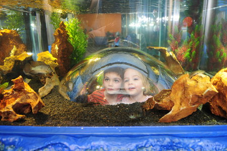 Scitech - Accommodation Sydney 3