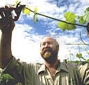 Barossa Experience Tours - Accommodation Sydney