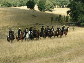 McCormacks Mountain Valley Trail Rides - Accommodation Sydney 0
