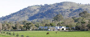 Blue Gum Farm - Sydney 4u 1