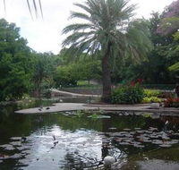 Brisbane City Botanic Gardens - Accommodation Sydney