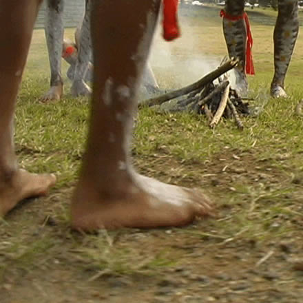 Musgrave Park Cultural Centre - Sydney Resort 1