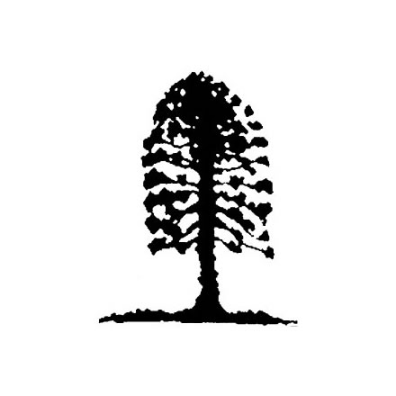 Musgrave Park Cultural Centre - Sydney Resort 2