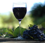 Lion Mill Vineyards - Accommodation Sydney