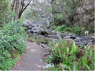 Stevensons Falls - Accommodation Sydney 1