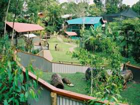Kuranda Koala Gardens - Sydney 4u 1