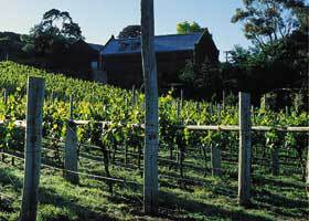 Goona Warra Vineyard - Sydney 4u 1