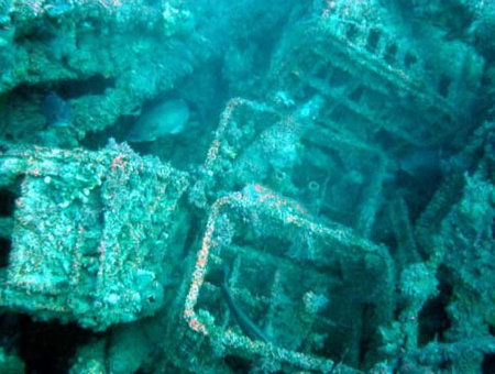 Underwater Sports Diving Centre - Accommodation Sydney 0
