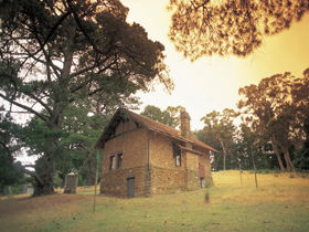 Heysen - The Cedars - Sydney 4u 0