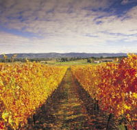 Link Tours - Accommodation Sydney