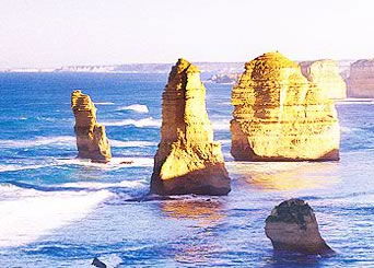 Bunyip Tours - Accommodation Sydney 3