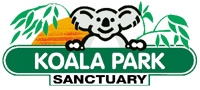 Koala Park Sanctuary - Accommodation Sydney